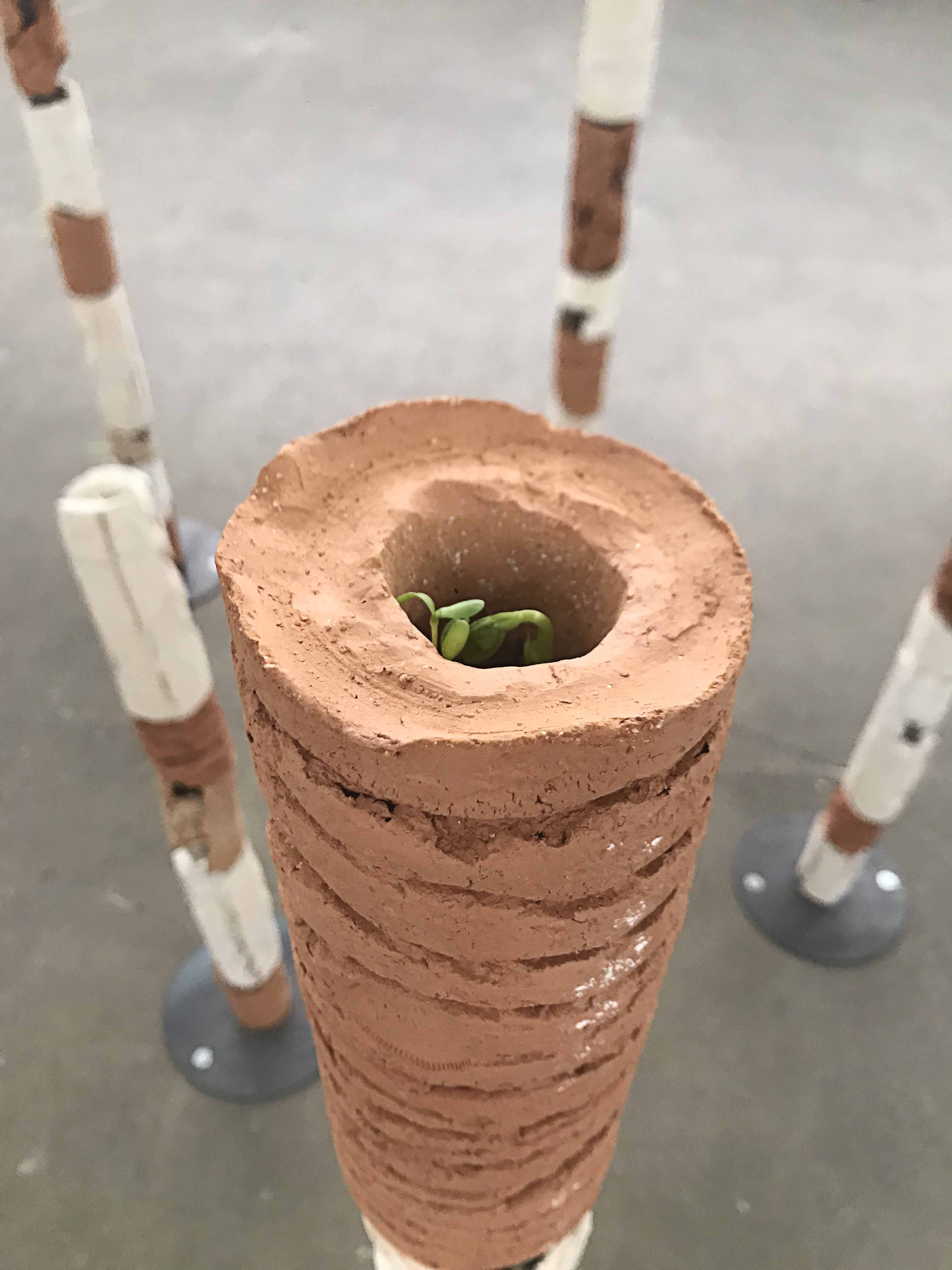 Totems